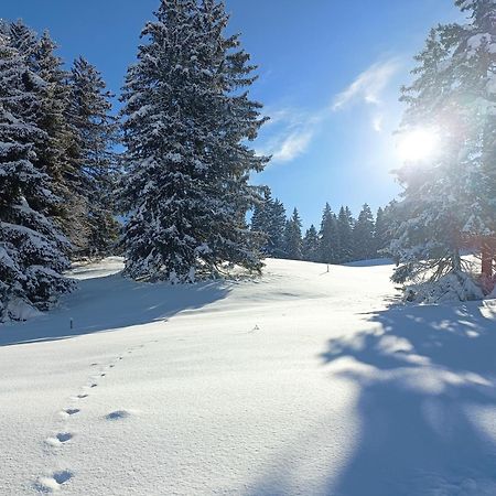 Apartamento Ferien In Der Region Lenzerheide Exterior foto