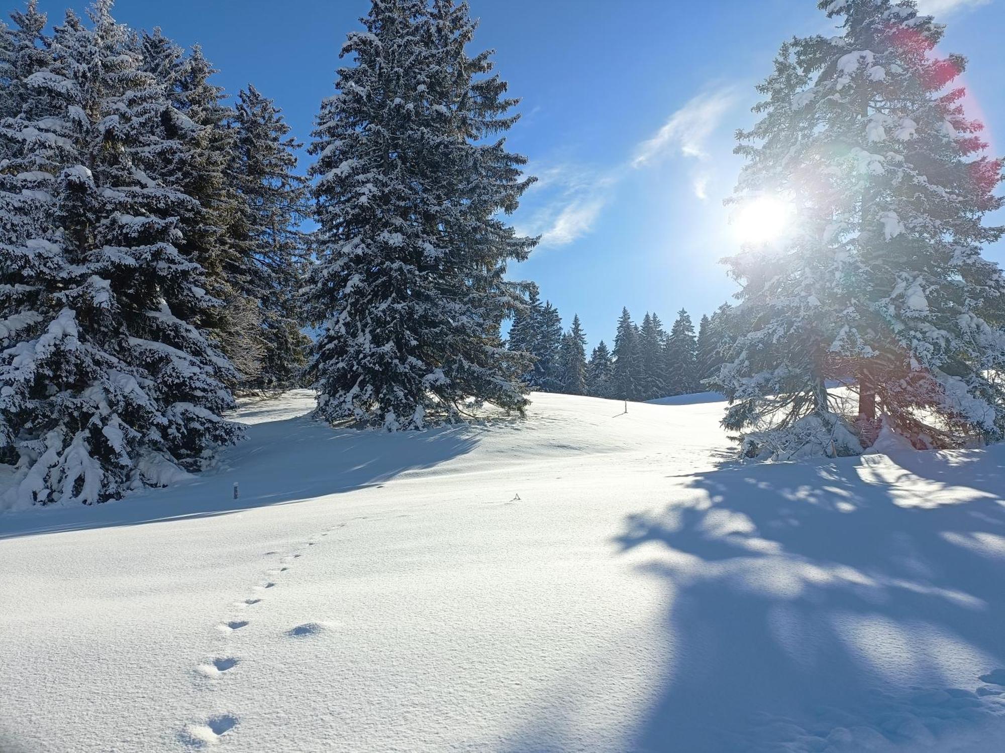 Apartamento Ferien In Der Region Lenzerheide Exterior foto